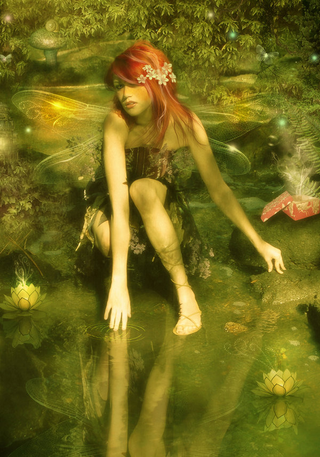 Illustration for article titled Girl Faeries
